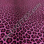 Colour:B