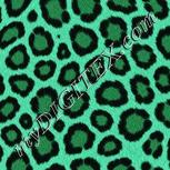 Colour:C