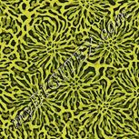 Colour:K