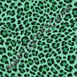 Colour:C