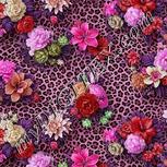 Colour:B