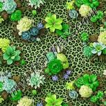 Colour:D