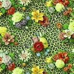 Colour:K