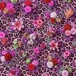 Colour:B