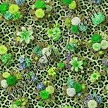 Colour:D