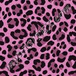 Colour:B