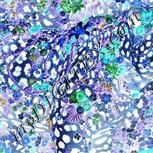 Colour:F