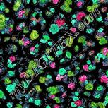 Colour:C