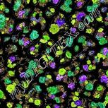 Colour:D