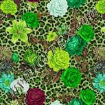 Colour:D
