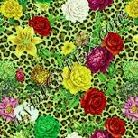Colour:K