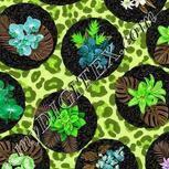Colour:D