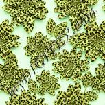 Colour:K