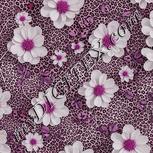 Colour:B