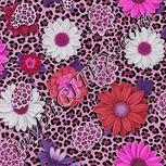 Colour:B