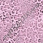 Colour:B