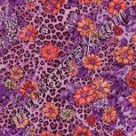 Colour:B