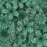Colour:C