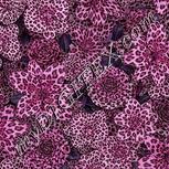 Colour:B