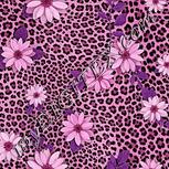 Colour:B
