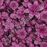 Colour:B