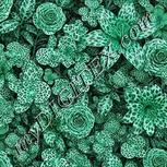 Colour:C