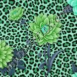 Colour:C