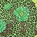 Colour:D