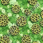 Colour:K