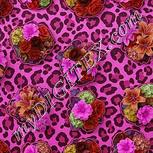 Colour:B