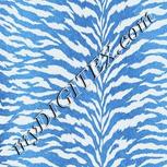 Colour:F