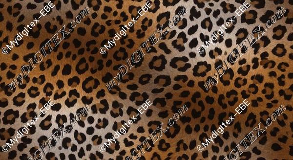 EBE 0004651