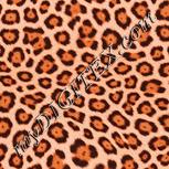 Colour:J