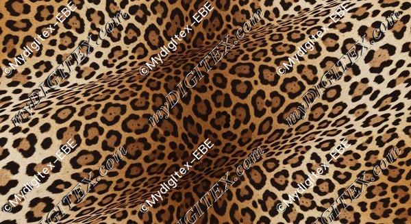 EBE 0004654