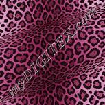 Colour:B