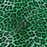 Colour:C