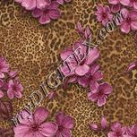 Colour:A