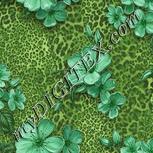 Colour:D