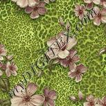 Colour:K