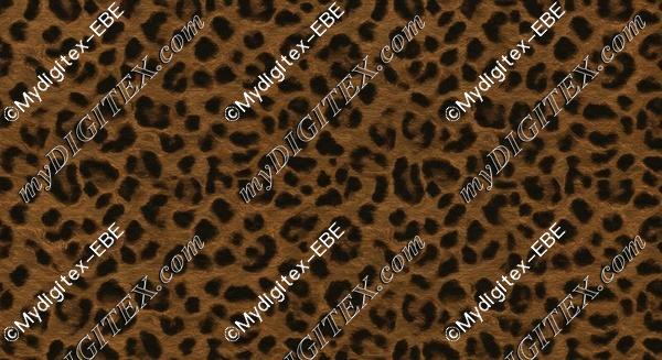 EBE 0004764