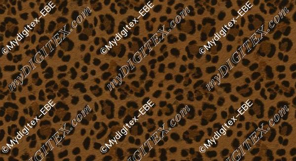 EBE 0004765