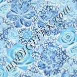Colour:F
