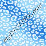 Colour:F