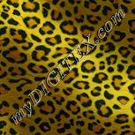 Colour:K