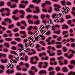 Colour:B