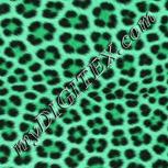 Colour:C