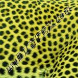 Colour:K