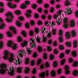 Colour:B