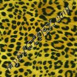 Colour:K