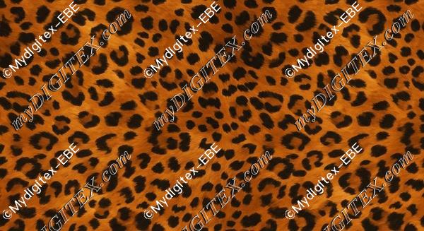 EBE 0004800